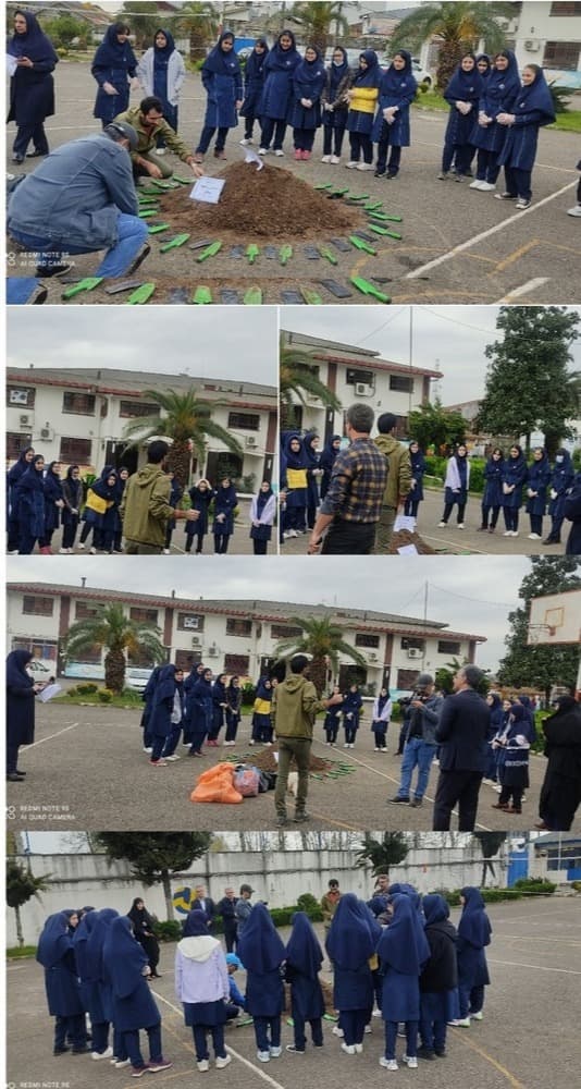 کاشت پانصد دانه بلوط 