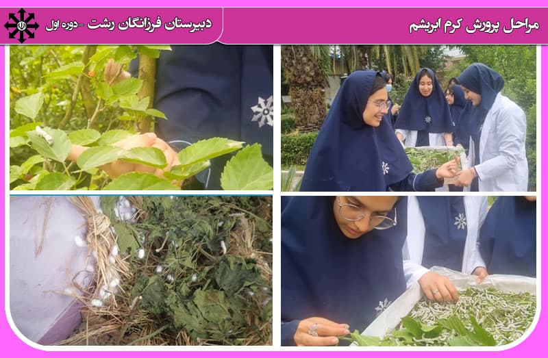 ماجرای دلدادن به یک دنیای نرم و نازک