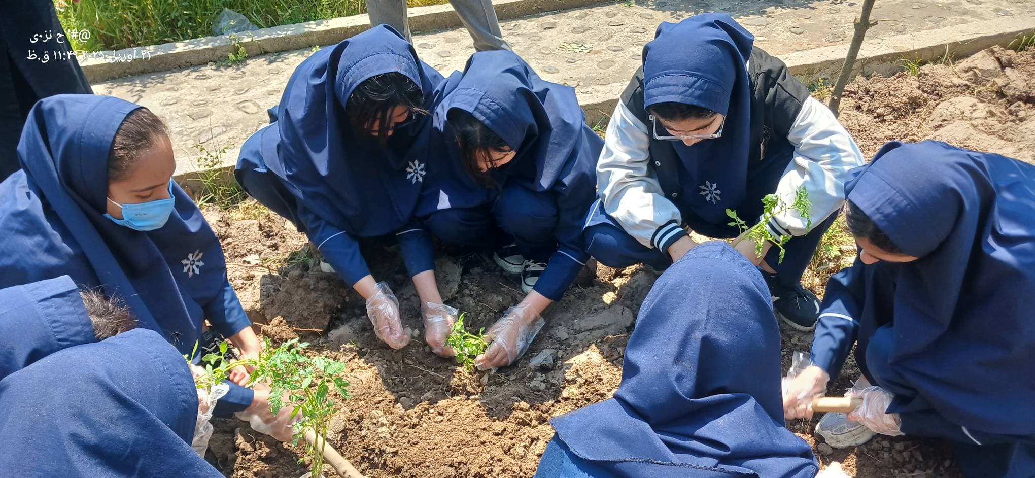 کاشت گل، گوجه و بادمجان در راستای شاداب سازی دانش آموزان